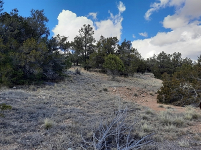 FANTASTIC Rural off grid Northern AZ property. - image 6