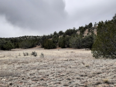 FANTASTIC Rural off grid Northern AZ property. - image 12