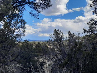 FANTASTIC Rural off grid Northern AZ property. - image 5