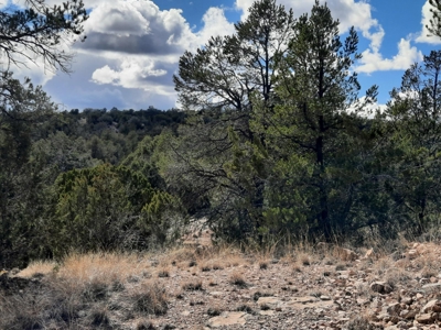 FANTASTIC Rural off grid Northern AZ property. - image 4