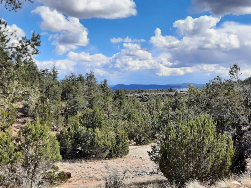 FANTASTIC Rural off grid Northern AZ property.