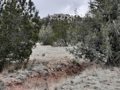 FANTASTIC Rural off grid Northern AZ property. - image 13