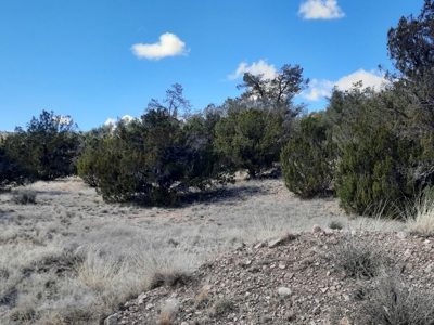 FANTASTIC Rural off grid Northern AZ property. - image 7