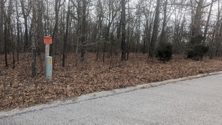 Beautiful Bull Shoals Lake Just Minutes From The Boat Dock - image 30