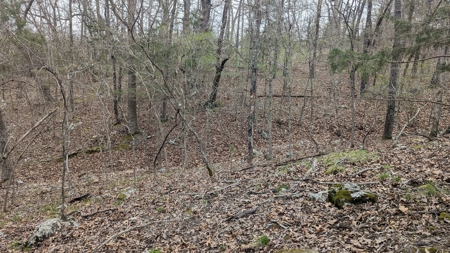 Beautiful Bull Shoals Lake Just Minutes From The Boat Dock - image 24