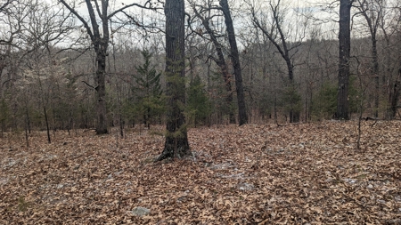 Beautiful Bull Shoals Lake Just Minutes From The Boat Dock - image 9