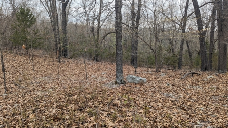 Beautiful Bull Shoals Lake Just Minutes From The Boat Dock - image 10