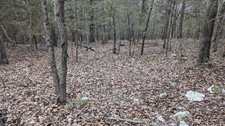 Beautiful Bull Shoals Lake Just Minutes From The Boat Dock - image 26