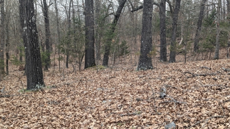 Beautiful Bull Shoals Lake Just Minutes From The Boat Dock - image 7