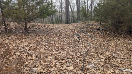 Beautiful Bull Shoals Lake Just Minutes From The Boat Dock - image 4