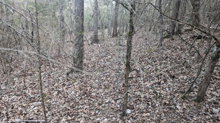 Beautiful Bull Shoals Lake Just Minutes From The Boat Dock - image 16