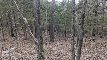 Beautiful Bull Shoals Lake Just Minutes From The Boat Dock - image 27