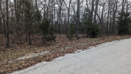 Beautiful Bull Shoals Lake Just Minutes From The Boat Dock - image 29