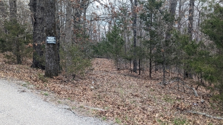 Beautiful Bull Shoals Lake Just Minutes From The Boat Dock - image 2