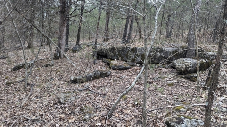 Beautiful Bull Shoals Lake Just Minutes From The Boat Dock - image 21