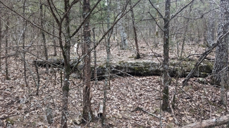 Beautiful Bull Shoals Lake Just Minutes From The Boat Dock - image 22