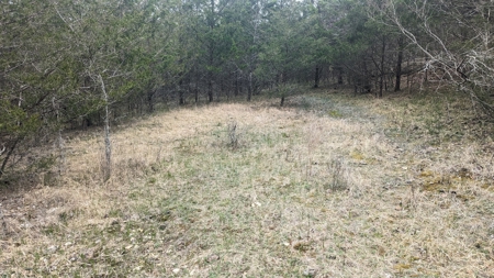 Beautiful Bull Shoals Lake Just Minutes From The Boat Dock - image 19