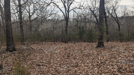 Beautiful Bull Shoals Lake Just Minutes From The Boat Dock - image 5