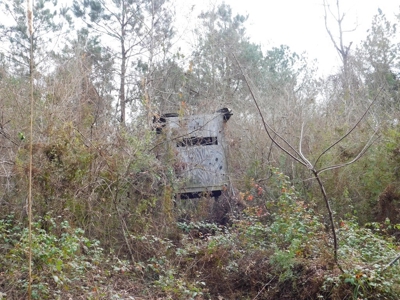 13 Acre Amite County Tract For Sale - image 9