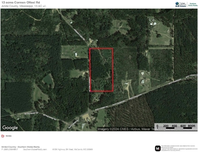 13 Acre Amite County Tract For Sale - image 21