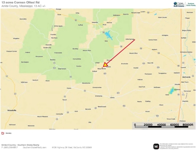 13 Acre Amite County Tract For Sale - image 20