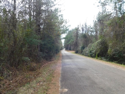 13 Acre Amite County Tract For Sale - image 6