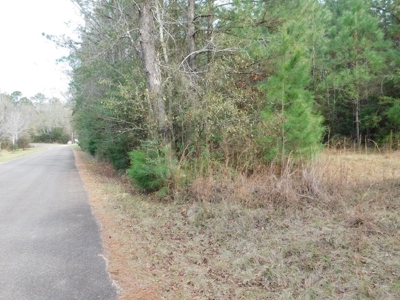 13 Acre Amite County Tract For Sale - image 10