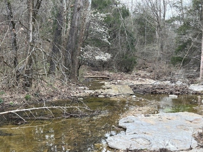 Large Land Parcel 1050 Acres Farm Timberland Omaha Boone Co - image 12