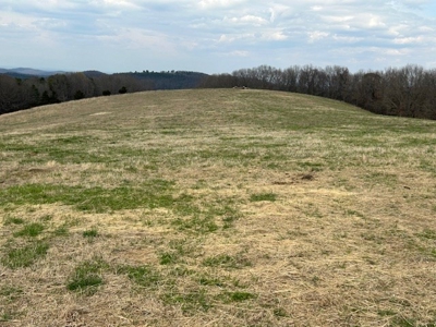 Large Land Parcel 1050 Acres Farm Timberland Omaha Boone Co - image 3