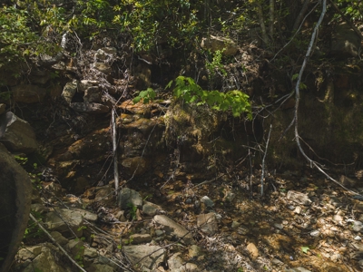 East TN Mountain Haven- Auction -Grainger County Tennessee - image 26