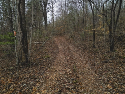 East TN Mountain Haven- Auction -Grainger County Tennessee - image 32