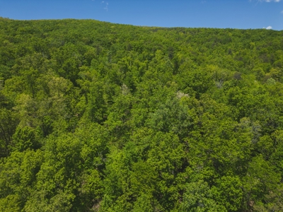 East TN Mountain Haven- Auction -Grainger County Tennessee - image 15