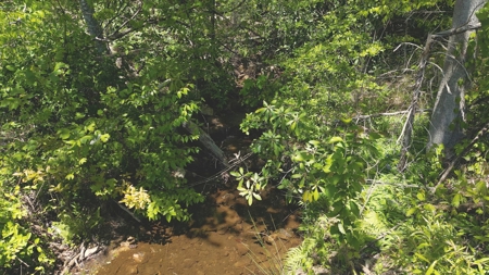 East TN Mountain Haven- Auction -Grainger County Tennessee - image 28