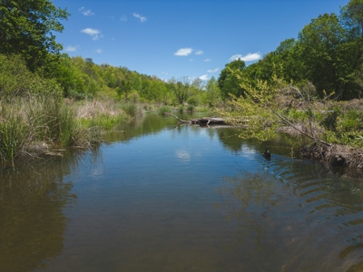 East TN Mountain Haven- Auction -Grainger County Tennessee - image 10