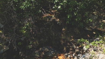 East TN Mountain Haven- Auction -Grainger County Tennessee - image 29