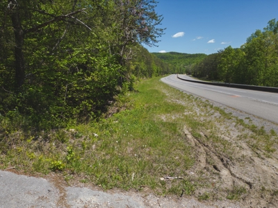 East TN Mountain Haven- Auction -Grainger County Tennessee - image 24