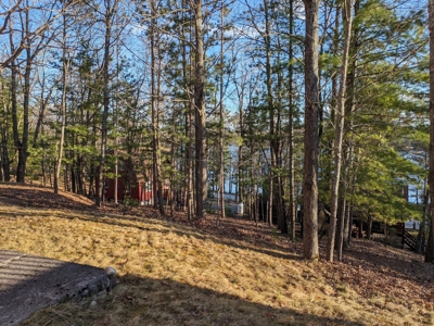 Log Cabin for Sale Canada Creek Ranch Atlanta MI - image 41