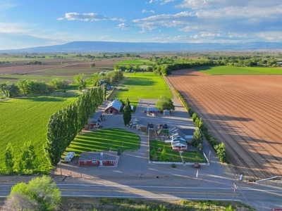 Property For Sale 2 Homes and Wedding or Event Venue Business - image 3