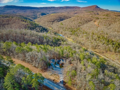 Log Cabin Home On Acreage For Sale in Newton County, Jasper - image 28