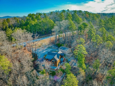 Log Cabin Home On Acreage For Sale in Newton County, Jasper - image 31