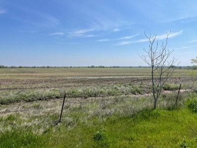 Lan With Acreage For Sale in Milford, TX - image 8