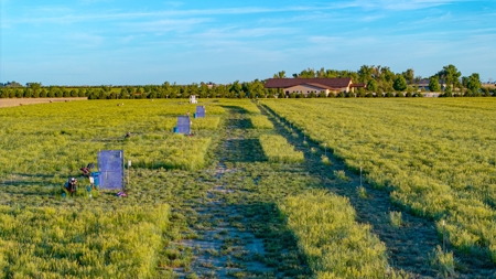 Colorado Guest Ranch & Resort for Sale on 20 Acres - image 24