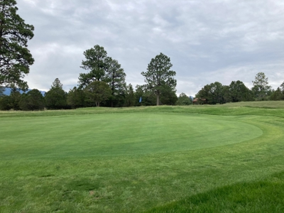 Golf Lover's Paradise:Prime Homesite Bordering Scenic Course - image 16