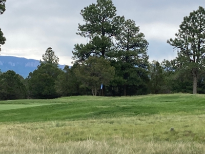 Golf Lover's Paradise:Prime Homesite Bordering Scenic Course - image 12