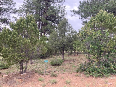 Golf Lover's Paradise:Prime Homesite Bordering Scenic Course - image 7