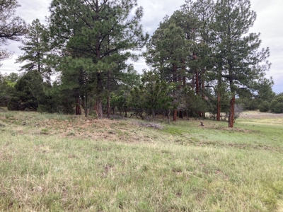 Golf Lover's Paradise:Prime Homesite Bordering Scenic Course - image 15