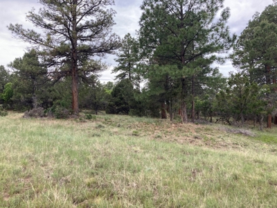 Golf Lover's Paradise:Prime Homesite Bordering Scenic Course - image 14