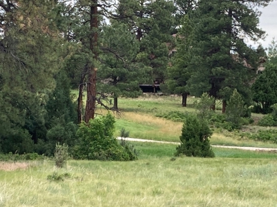 Golf Lover's Paradise:Prime Homesite Bordering Scenic Course - image 13