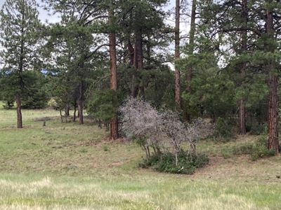 Golf Lover's Paradise:Prime Homesite Bordering Scenic Course - image 3