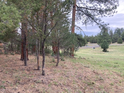Golf Lover's Paradise:Prime Homesite Bordering Scenic Course - image 10